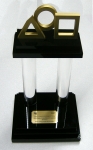 Regional Chairman's Award