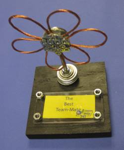 The Best Bot Award given by Miss Daisy Team 341